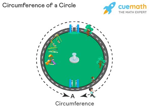 Top 17 how to find circumference of a circle with diameter 2022