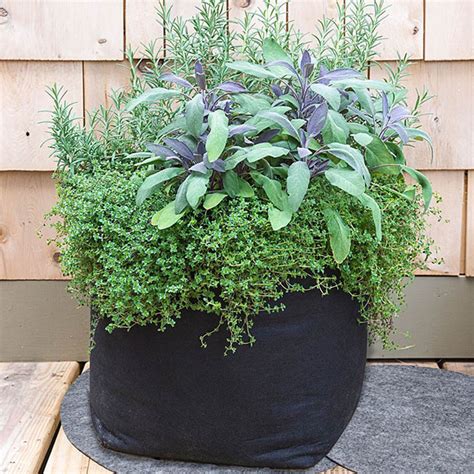 Grow Tub Container Mats: Garden Supplies from Gurney's