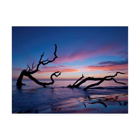 Trademark Fine Art 'Driftwood Beach' Canvas Art by PHBurchett - Walmart.com