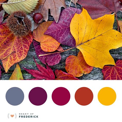 Autumn Leaves Color Palette