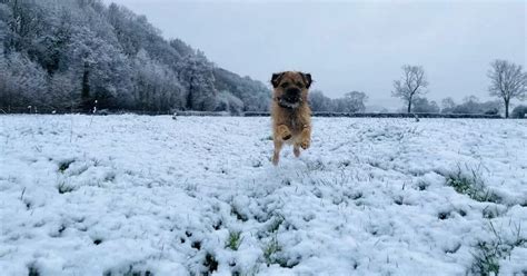 Will it snow where you live in Wales and how cold it's going to be ...