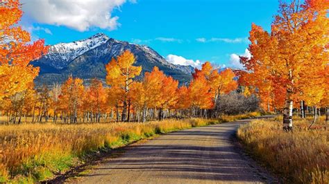 Road Between Yellow Orange Autumn Trees And Landscape Of White Covered Mountain Under White Blue ...