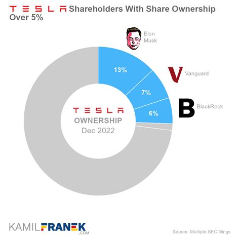 Who Owns Tesla: The Largest Shareholders Overview - KAMIL FRANEK Business Analytics