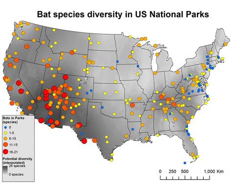 Bats in National Parks More Diverse, More at Risk Than Previously Known ...