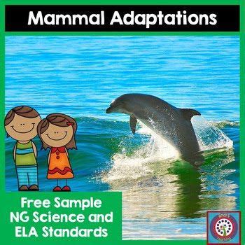 Mammal Adaptations Freebie! | Classroom Freebies | Bloglovin’