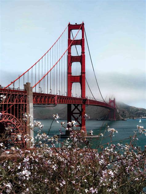 5 Days In San Francisco For First Timers (2024): The Ultimate Itinerary & Best Things To Do!