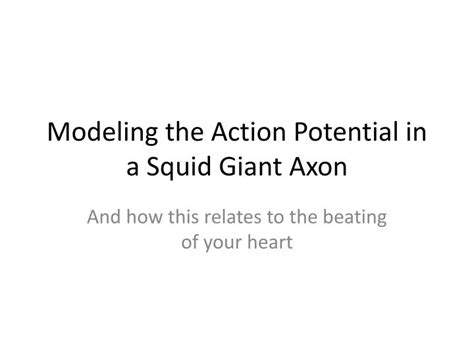 PPT - Modeling the Action Potential in a Squid Giant Axon PowerPoint Presentation - ID:2562534