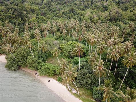 Aerial view coconut palm plantation 21649517 Stock Photo at Vecteezy