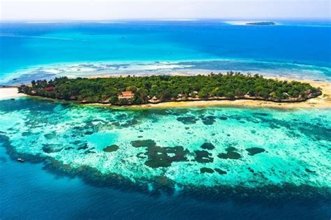 Prison island with Nakupenda Sandbank trip | Zanziworld Tours