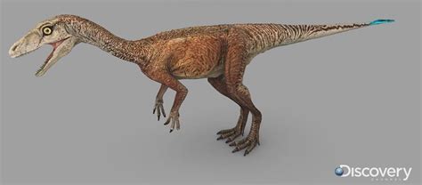 Eoraptor | Prehistoric, Dinosaur discovery, Dinosaur