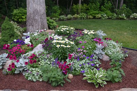 rock garden under a big shade tree. LOVE this display of gorgeous ...