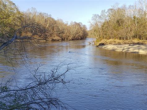 Bogue Chitto State Park loaded with outdoor fun | The Heart of Louisiana