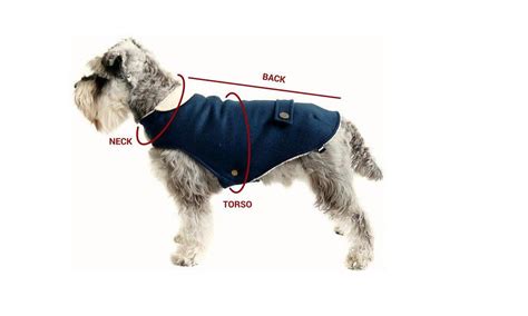 How to Measure Dog for Coat? – Pet Help Reviews UK