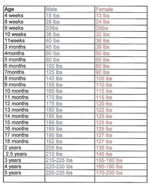 How Much should an English Mastiff Weigh (Growth Chart)?