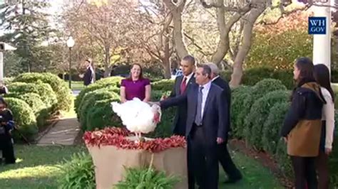 History of the Presidential Turkey Pardon - Why Presidents Pardon Thanksgiving Turkeys