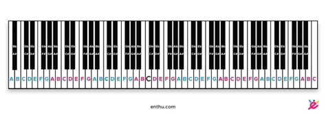 How to Label Piano Keys? [Pictures Included] - EnthuZiastic