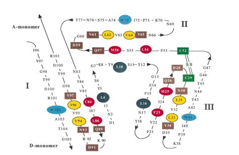 340 questions with answers in PROTEIN SEQUENCING | Scientific method