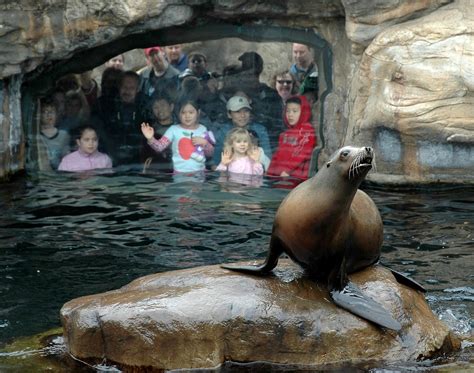 Oregon Coast Aquarium remakes its website | OregonLive.com