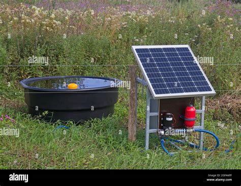 Modern agriculture: solar panel providing energy for cattle drinking water and electric fence ...