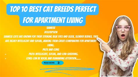 Top 10 Best Cat Breeds Perfect for Apartment Living