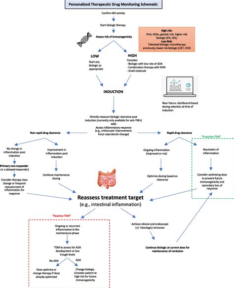 Proposed framework for personalized therapeutic drug monitoring (TDM ...