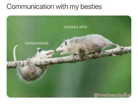 Communication With My Besties Aaaaaa Also | Communication Meme on ME.ME