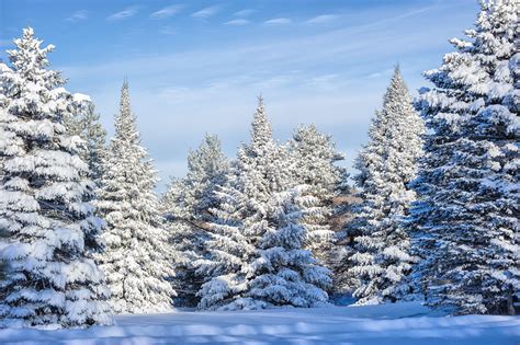 Michigan Nut Photography | Winter in Michigan