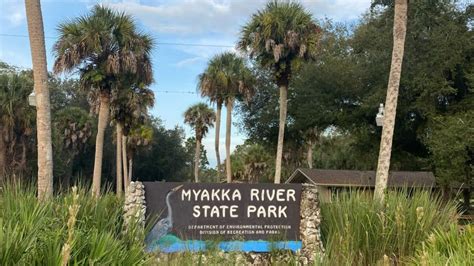 The Wildlife at Myakka River State Park in Florida Might Have You Too Scared To Leave The Car