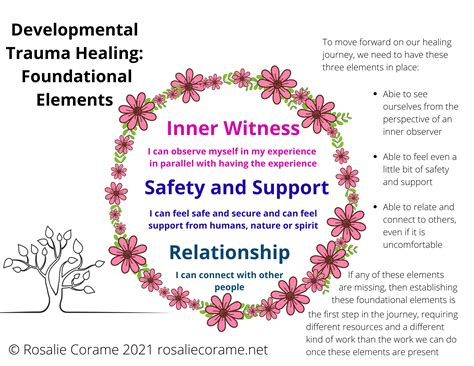 Developmental Trauma Healing Elements - Somatic Developmental Trauma Healing with Rosalie Corame