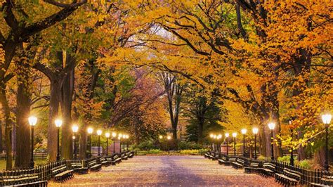 Autumn Central Park New York Wallpapers - Wallpaper Cave