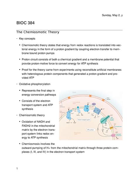 42 - The Chemiosmotic Theory - Friday, May 3, y BIOC 384 The ...