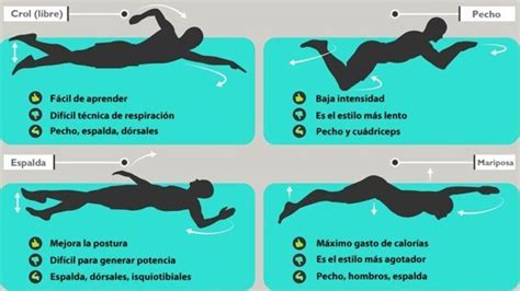 Cuál es el estilo de natación con el que quemas más calorías - BBC News ...