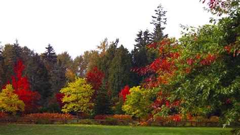 Bear Creek Park, Surrey - Heritage BC