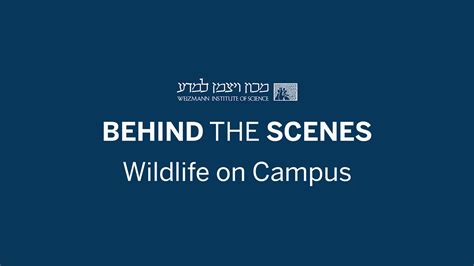 Behind the Scenes: Wildlife on Campus | Weizmann USA