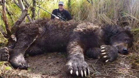 The Biggest Grizzly Bear Ever Killed In Alaska - YouTube