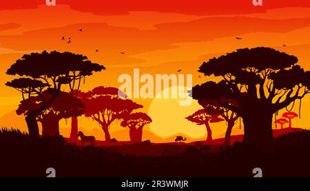 Savannah with silhouettes animals and trees, acacia and green grass at sunset. The concept ...