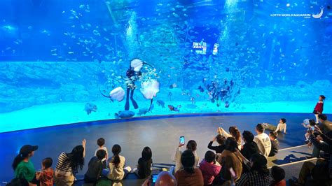 Lotte World Aquarium | Hanoi | Miki Travel Asia