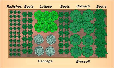 11 Tips for Designing a Raised Bed Vegetable Garden Layout