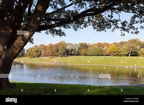 Autumn in Sefton Park, Liverpool, showing boating lake Stock Photo ...