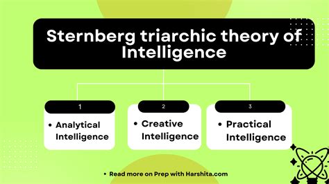 Sternberg Triarchic theory of Intelligence - Prep With Harshita