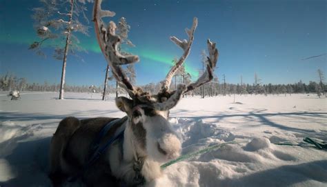 Nothing, Nowhere, No Problem - Why You Come Back | Visit Finnish Lapland