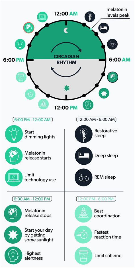 Stages of sleep – Artofit