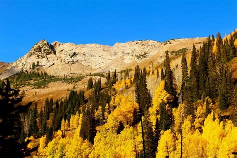 Fall colors in Mill D South Big Cottonwood Canyon Utah - Photorator