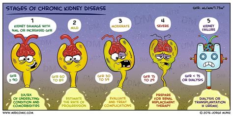 Stages Of Chronic Kidney Disease Chart