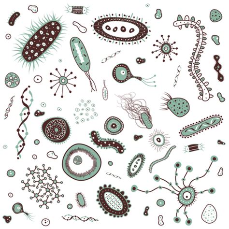 Download High Quality bacteria clipart microorganism Transparent PNG ...