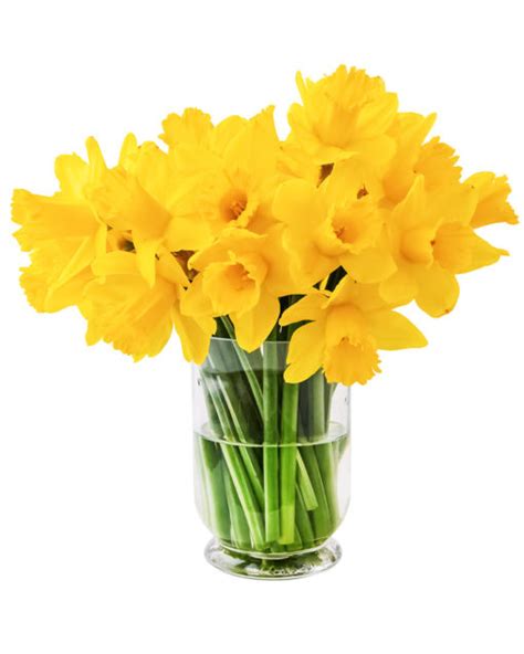 Bunches of Daffodils | Flowers by Flourish | Use code FBF10 for 10% ...