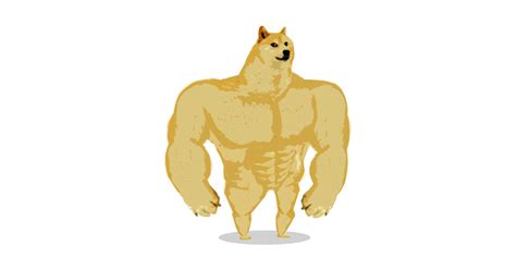 Buff DOGE - Doge - Máscara | TeePublic MX