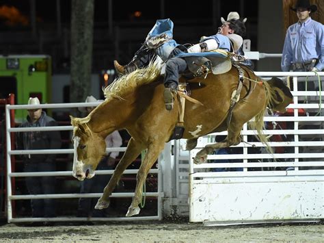 Homestead Rodeo: Jan. 26-29, 2024, where pro cowboys compete