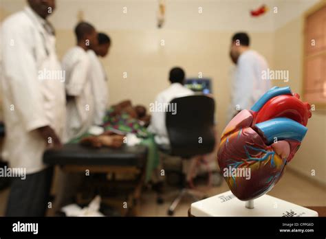 Echography heart hi-res stock photography and images - Alamy