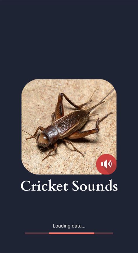 Cricket Sounds APK for Android Download